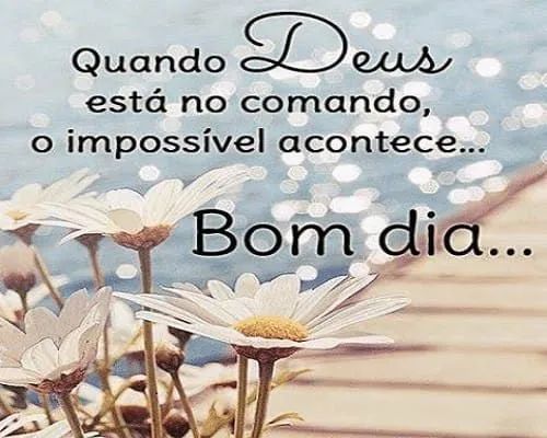 Cuidados com idosos 