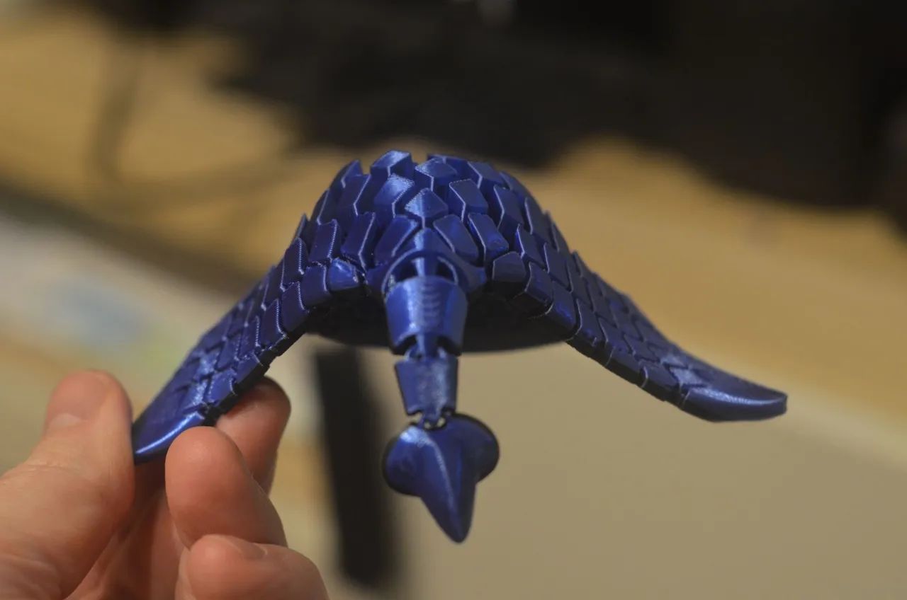 Raia 3D Articulado - Foto 5
