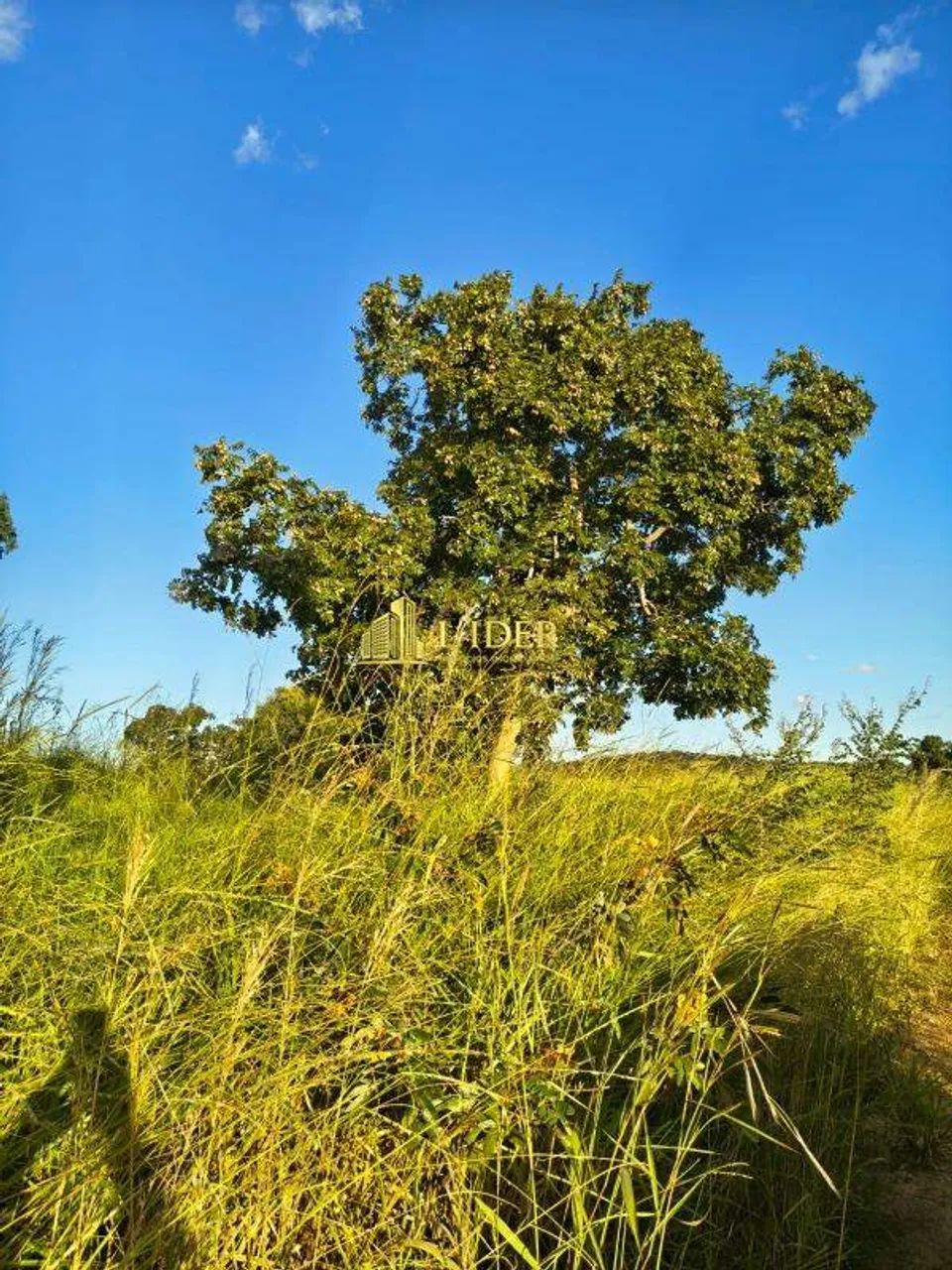Fazenda na Área Rural de Ipameri - GO - Foto 3
