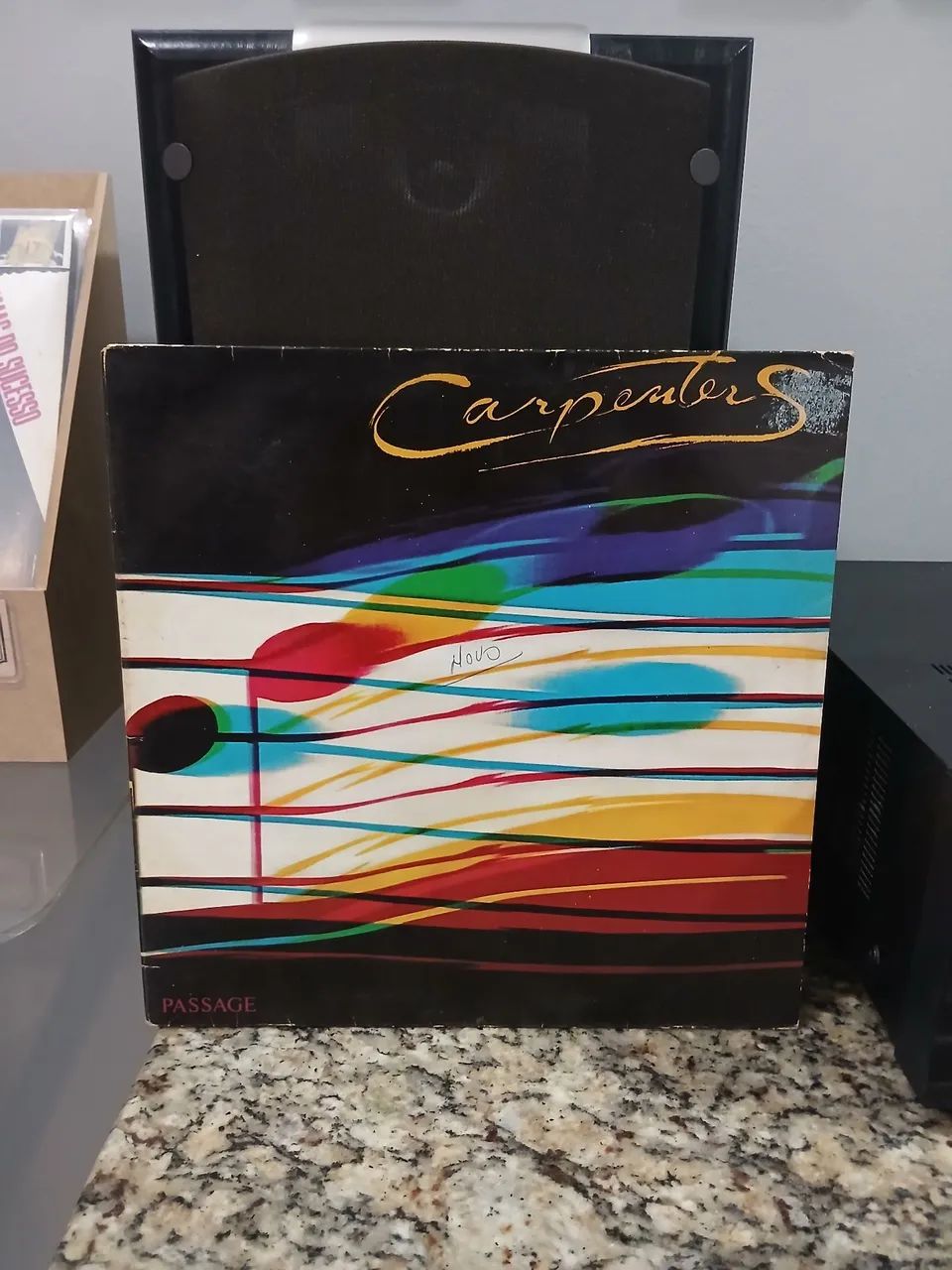Vinil Carpenters 
