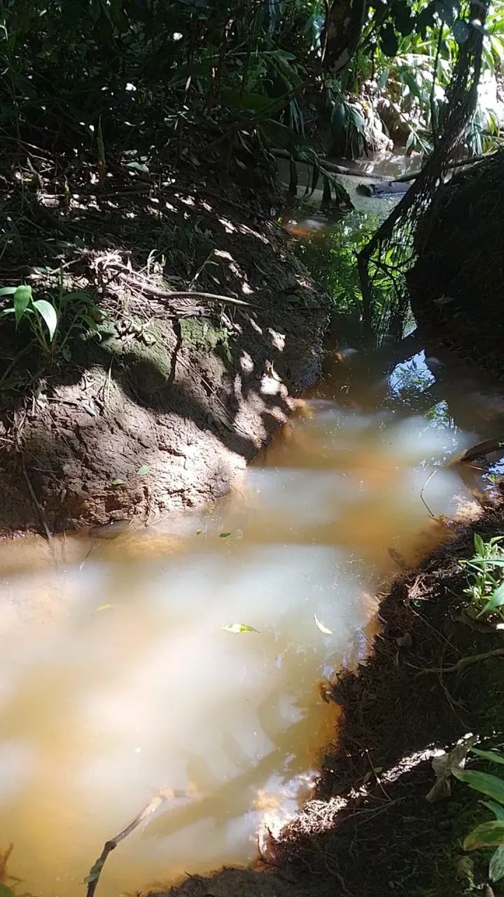Terreno em Piedade - Foto 4