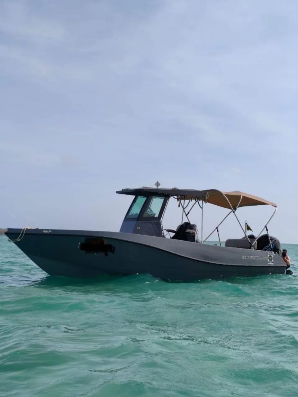 Top fish  completa  - Foto 5