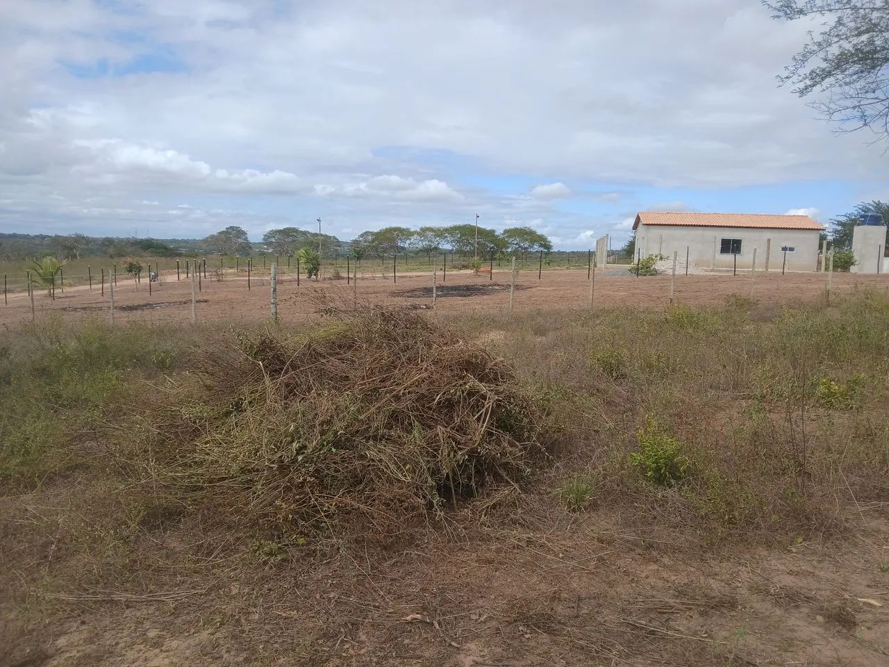 ROÇA MINI SITIO SANTA BÁRBARA BAHIA  - Foto 2