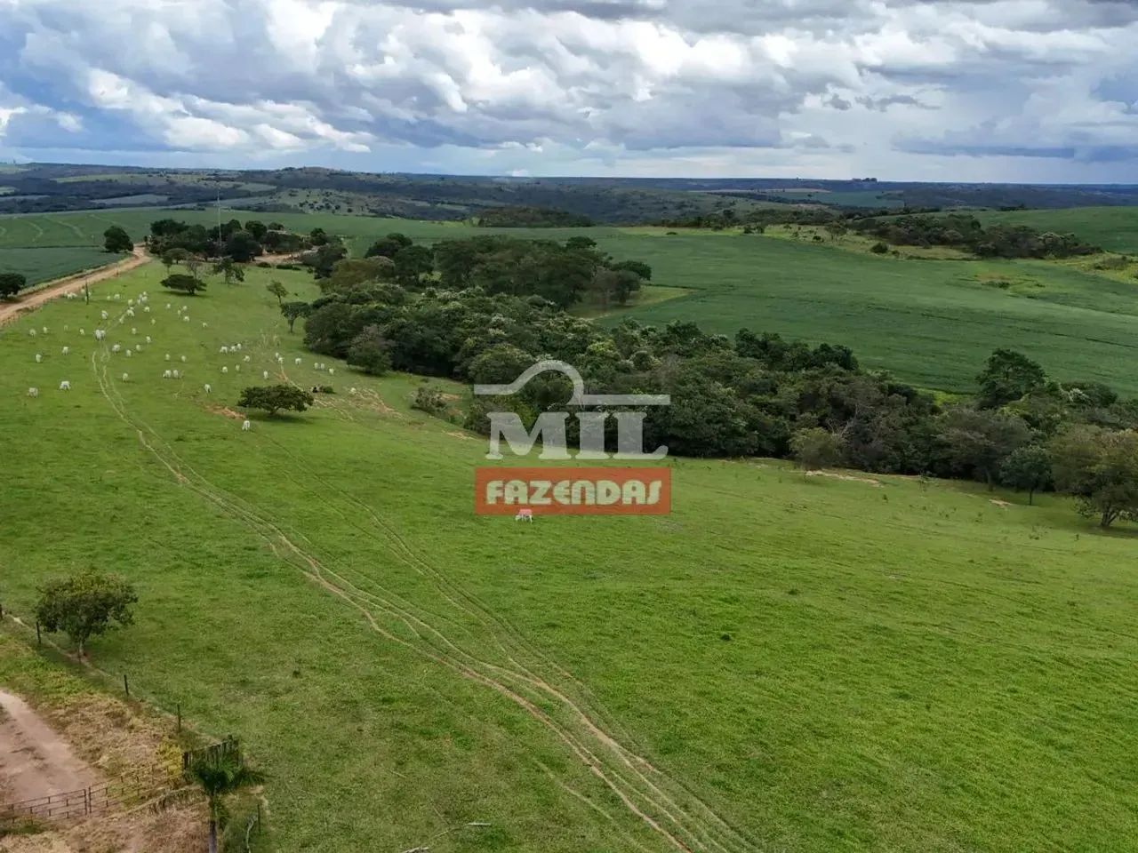 Fazenda 163,8 alqueires (793,16 hectares) Ipameri - Go - Foto 2