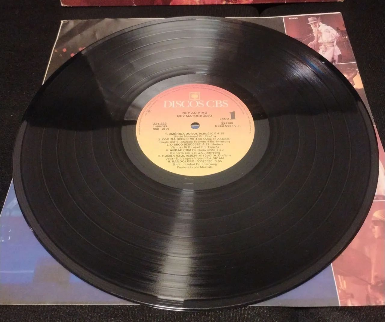 Vinil Ney Matogrosso - Ao Vivo (1989) (Disco, LP) - Foto 5