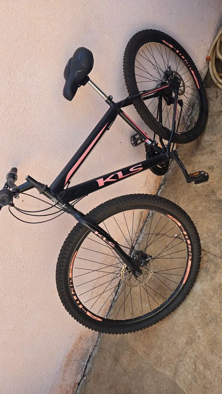 Bicicleta,para ir embora logo.