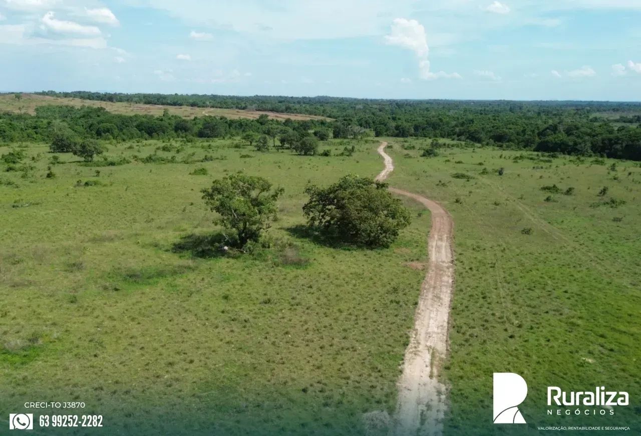 248 ALQUEIRES | 600 HA PRONTOS PARA AGRICULTURA | SAFRA E SAFRINHA - Foto 5