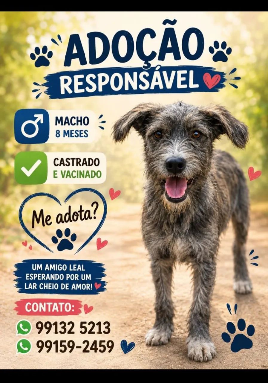 Adoção responsável 