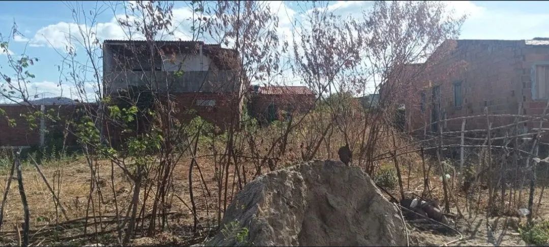 Lote em Baturité - Foto 3