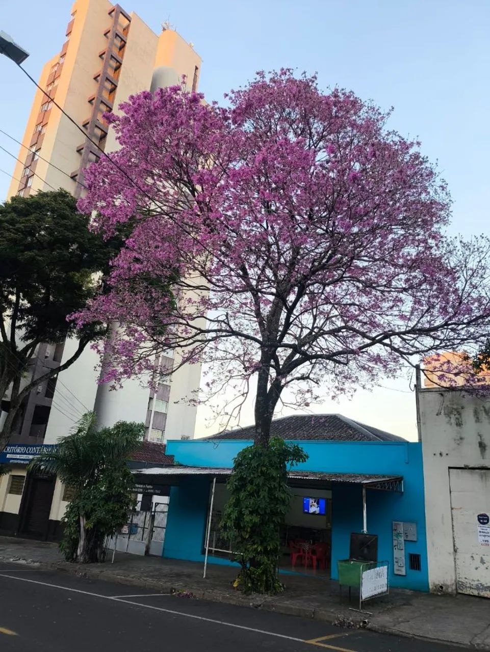 Vendo Ponto/Atividade Comercial ramo alimentício! - Foto 4
