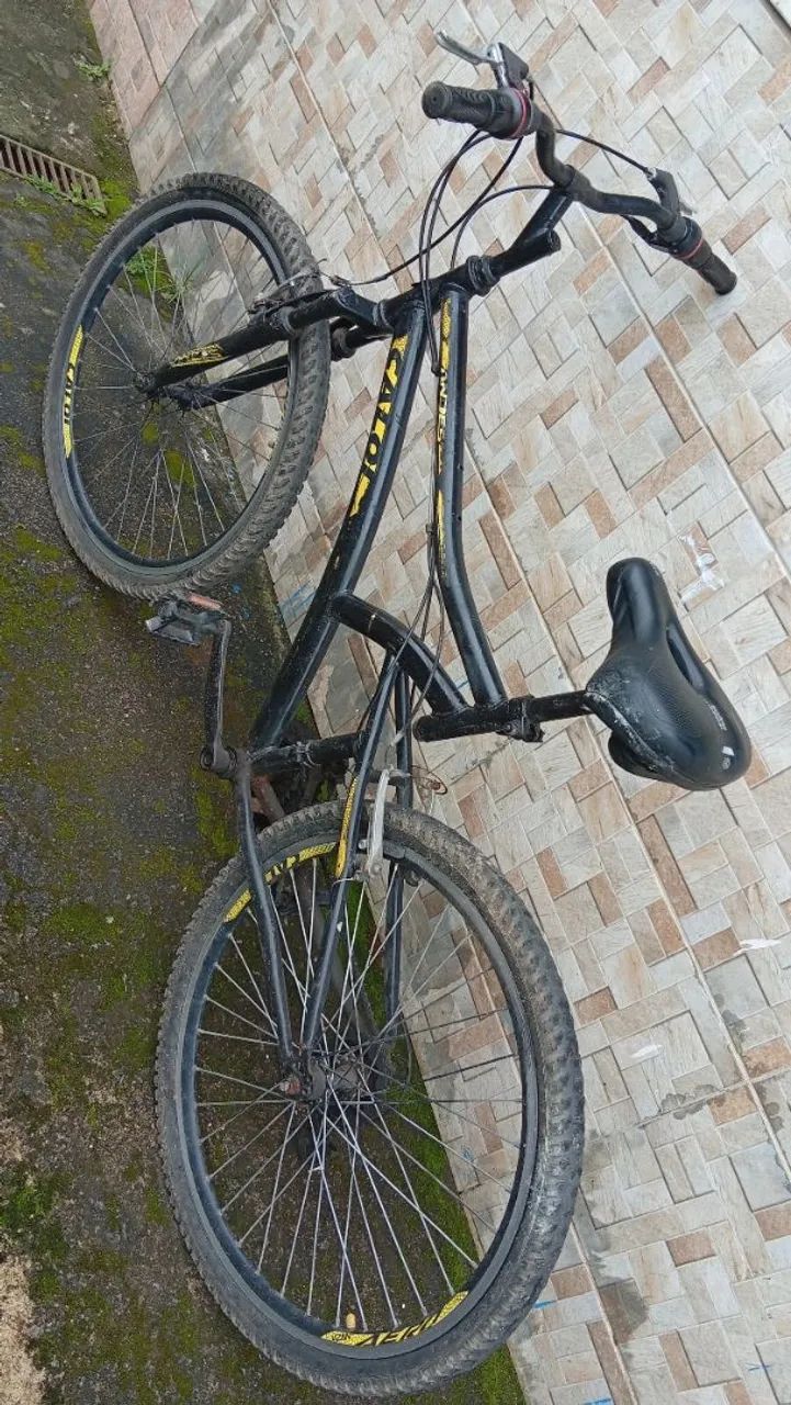 Bicicleta 