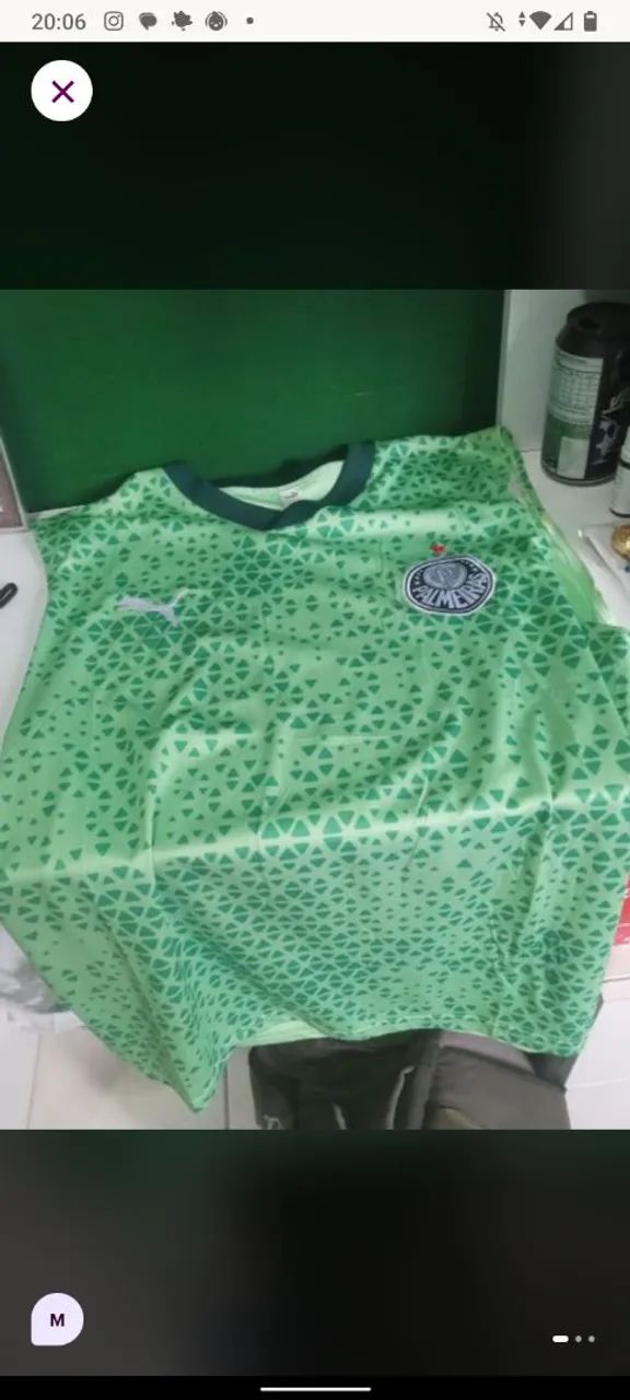 Regata treino palmeiras 