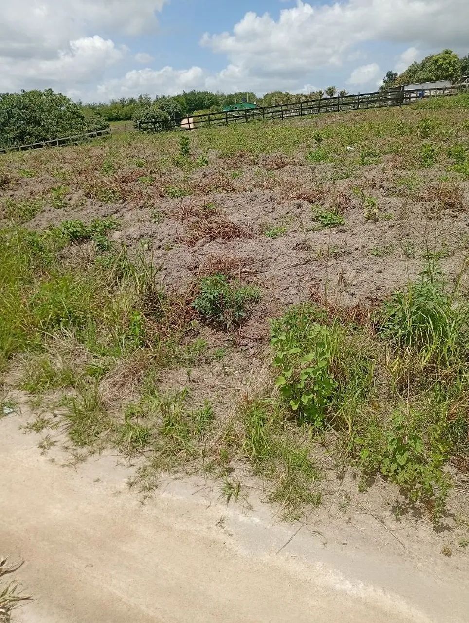 Terreno em chã grande  - Foto 2