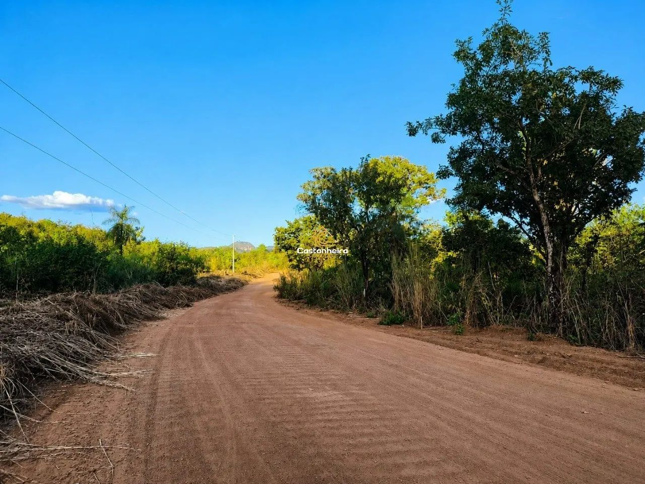 Terreno | Sítio - Com Nascente - 2.584 m² - Macrozona Urbana - Foto 5