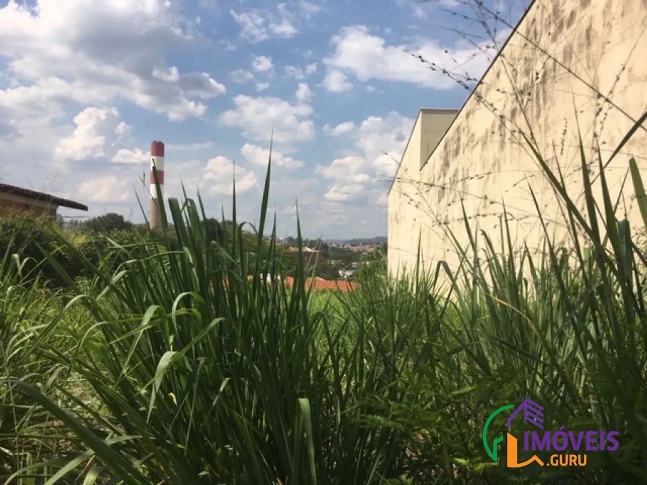 TERRENO - JARDIM RIBEIRO - SP - Foto 2