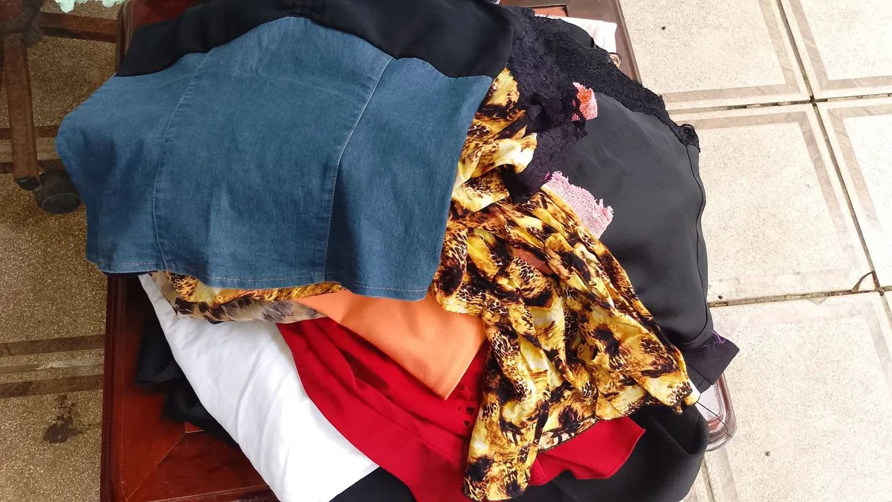 Lote de roupas 