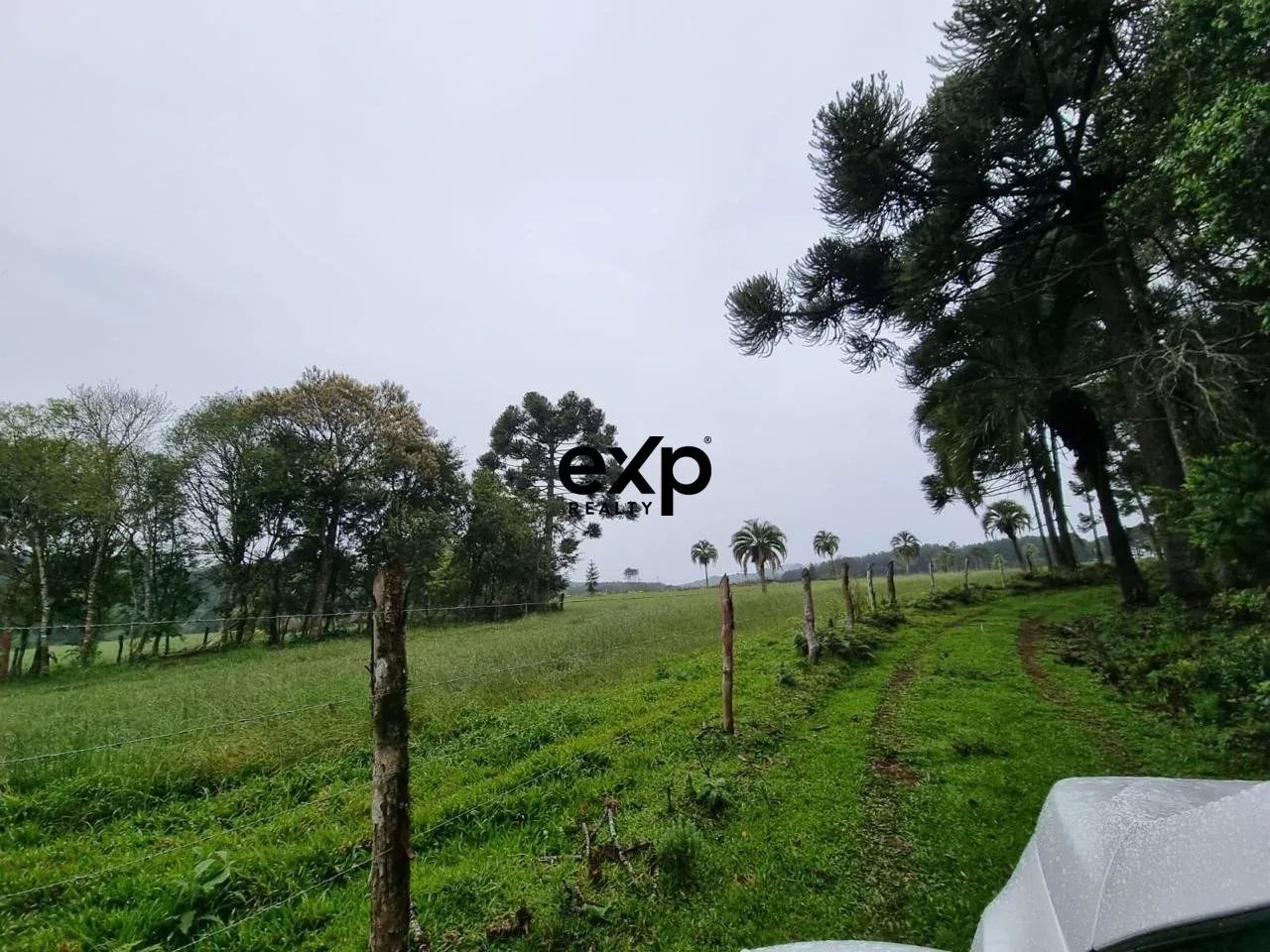 OPORTUNIDADE RURAL 46 HA COM ÁGUA | PERTO DE LAGES. - Foto 3