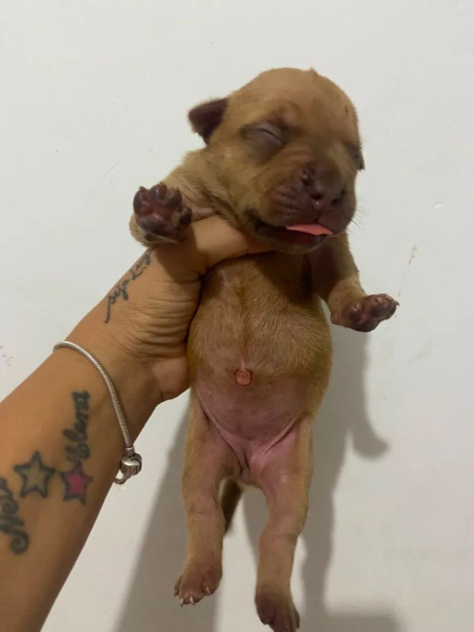 Pit Monsters super top