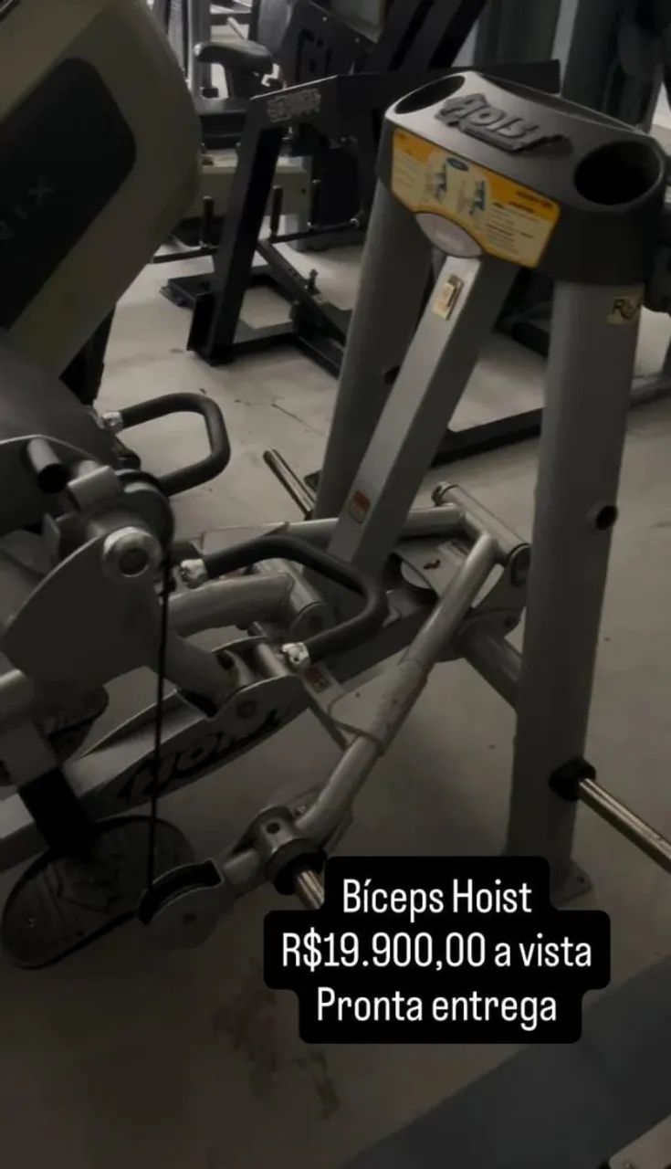Bíceps Hoist 