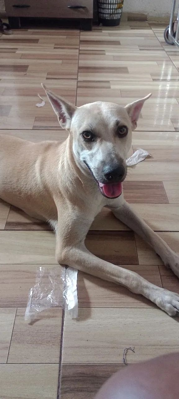 Doação  - Foto 3