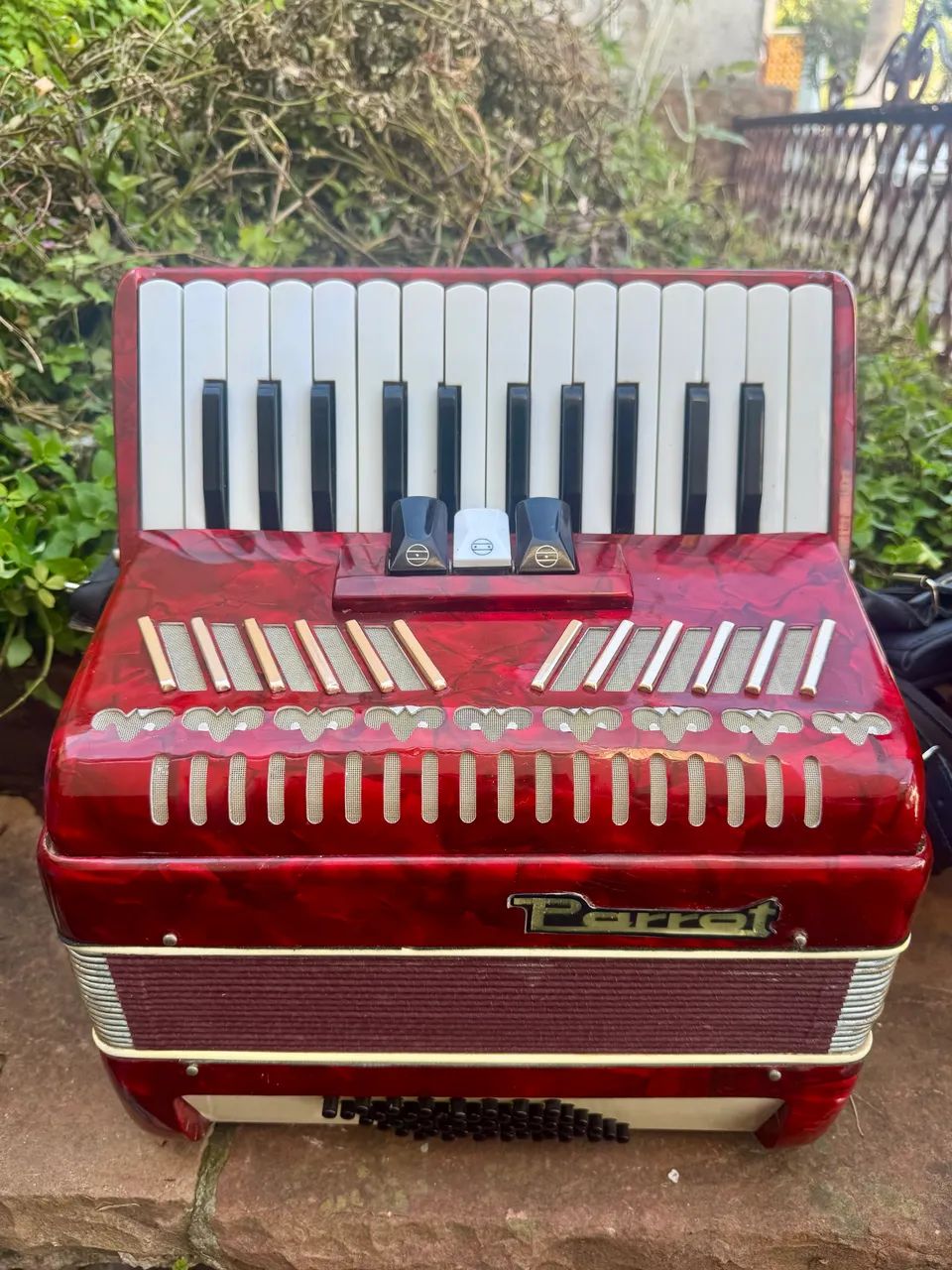 Acordeon Parrot 48 baixos 