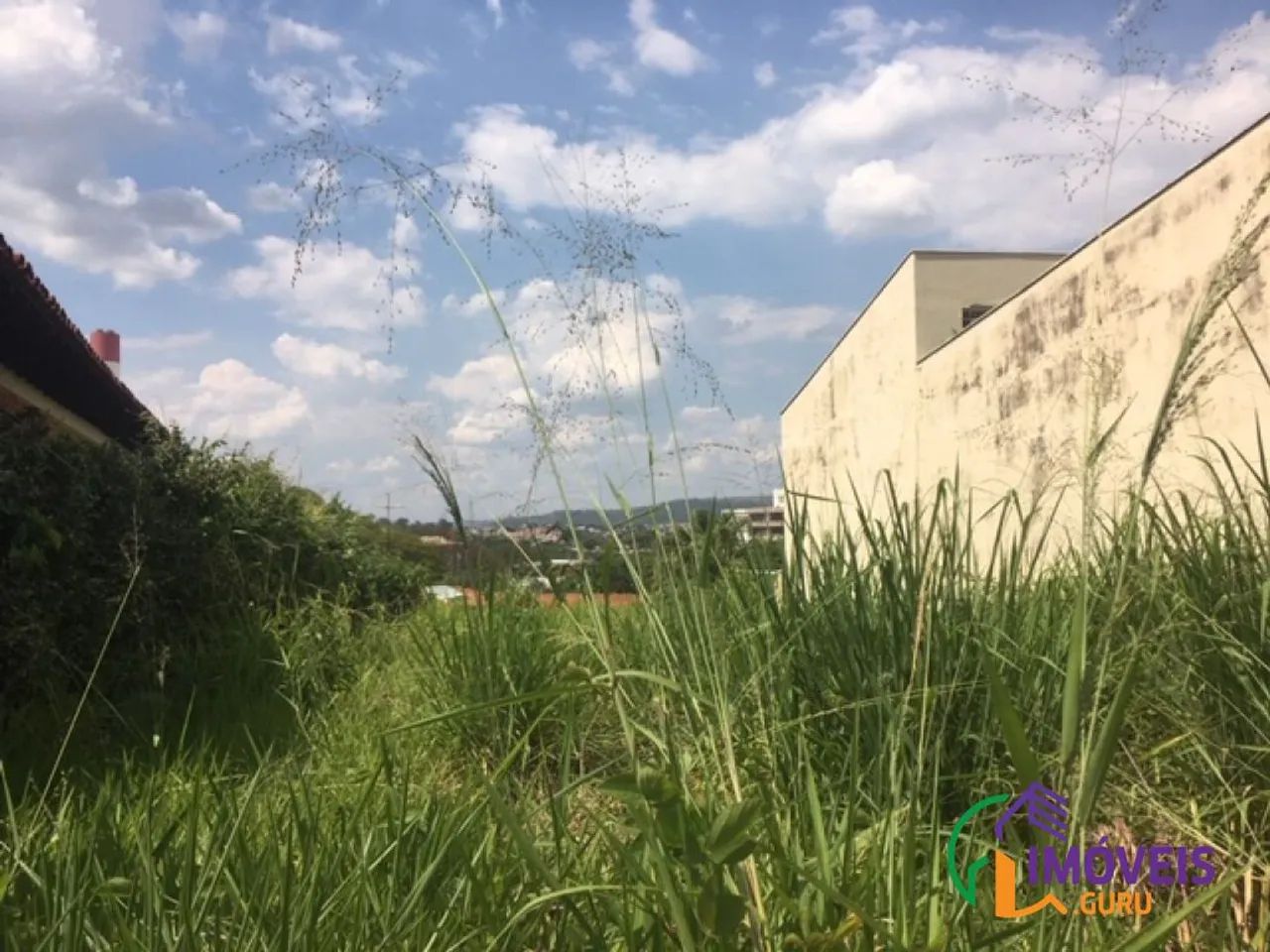 TERRENO - JARDIM RIBEIRO - SP - Foto 3