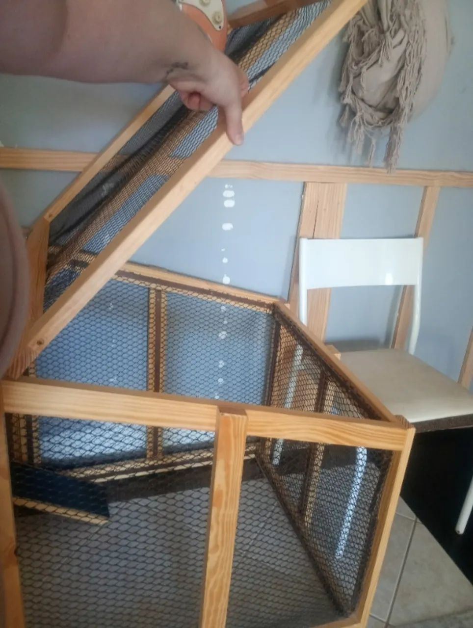 casa para coelho - Foto 4