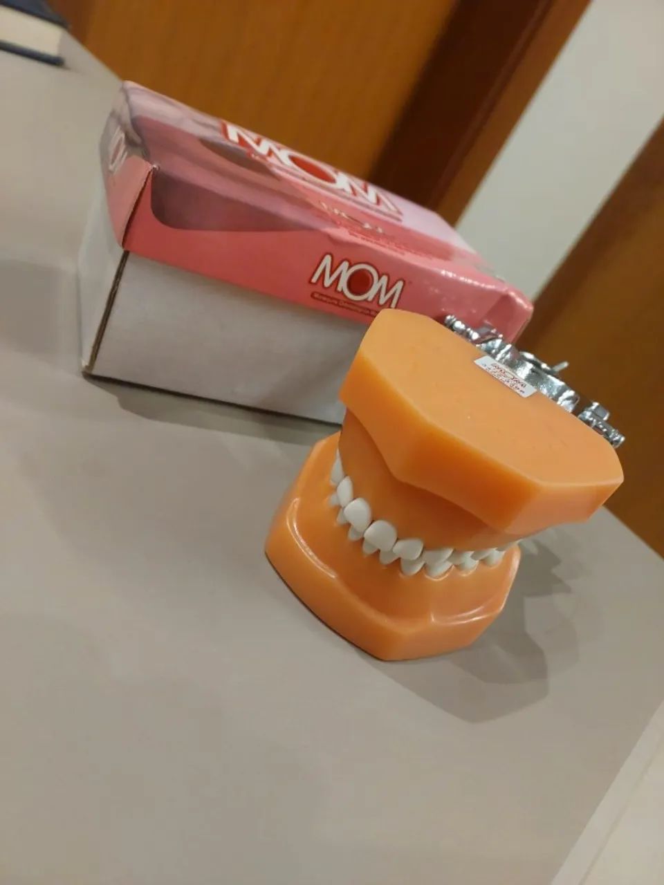 Manequim Odontopediatria Mom (Usado)