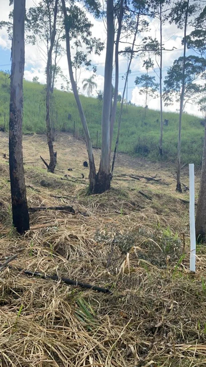 Terreno com 4000m2 próximo a rota do vinho com documentação - Foto 12
