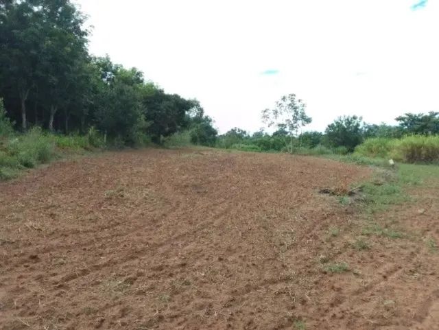 Sítio à Venda - 2,8 Alqueires - Foto 4