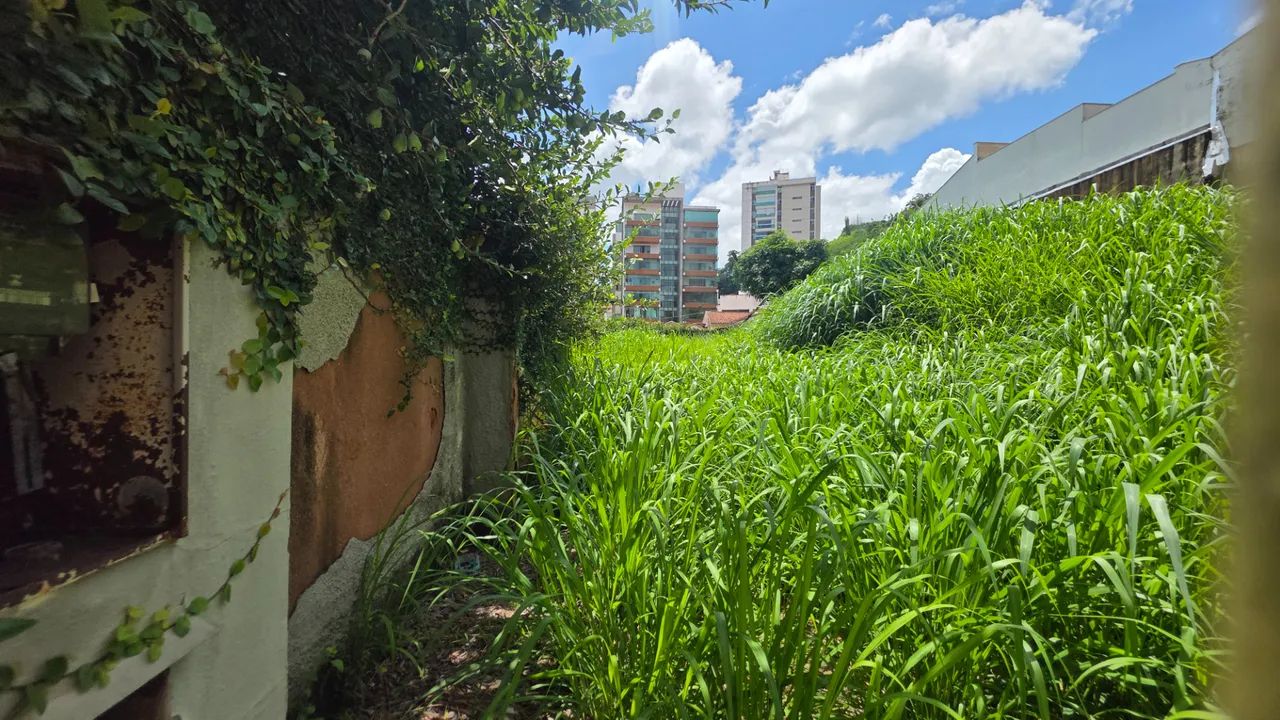 Lote / Terreno - Bom Pastor - Foto 2