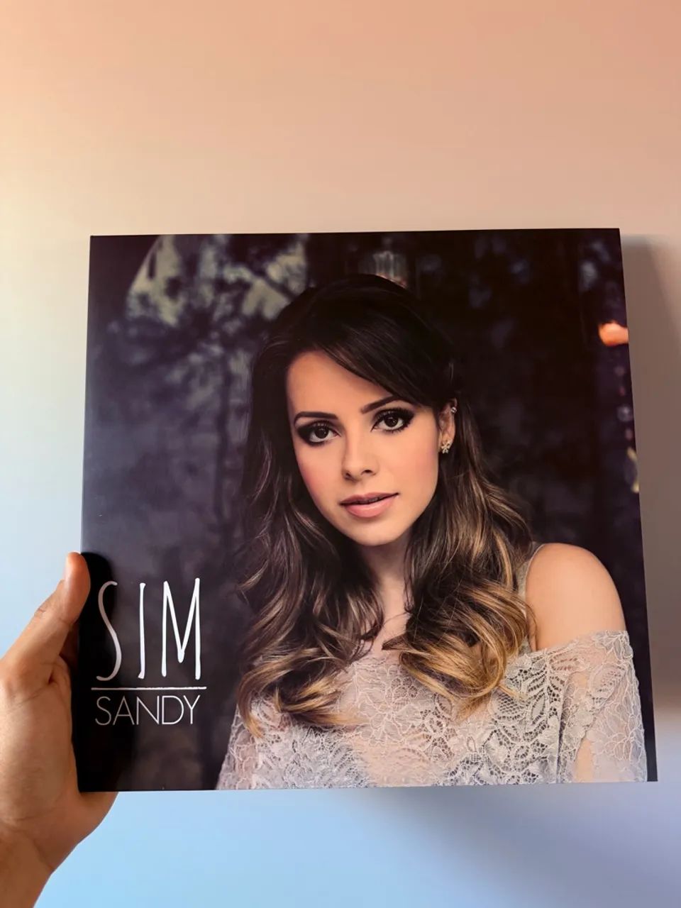 Disco vinil Sandy sim 