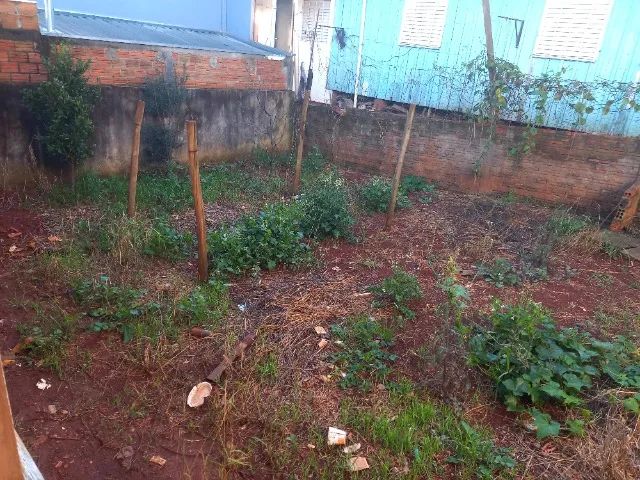 Casa bairro Planalto  - Foto 4