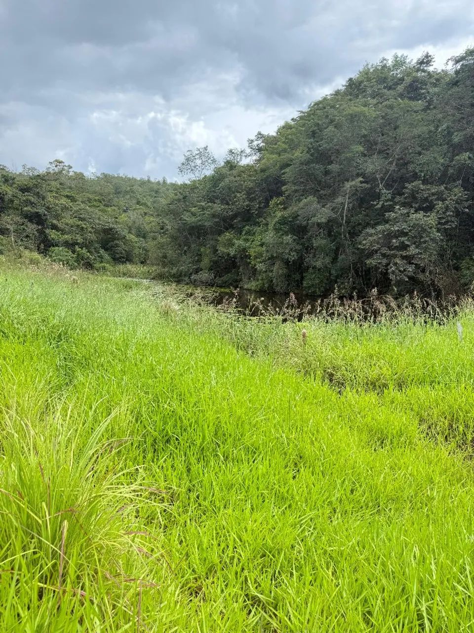 Fazendinhas módulo rural em juatuba  - Foto 3