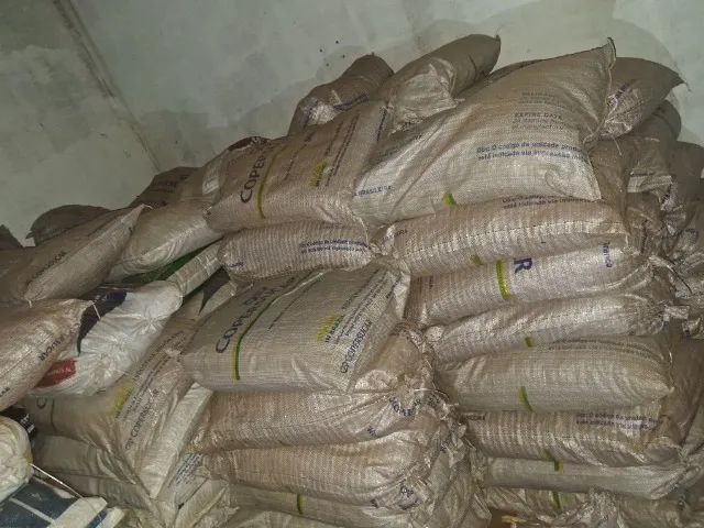 Sementes de agropolo disponível. - Foto 2