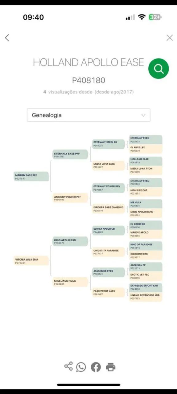 Pordo a venda 1.7 meses manso de cabresto   - Foto 5