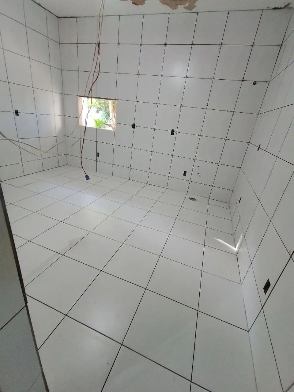 Azulejista  - Foto 3