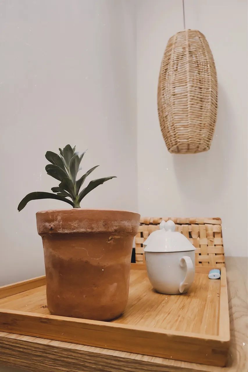 SALA DE SPA EQUIPADA PARA LOCAÇÃO | ESPAÇO PROFISSIONAL E ACOLHEDOR - Foto 4