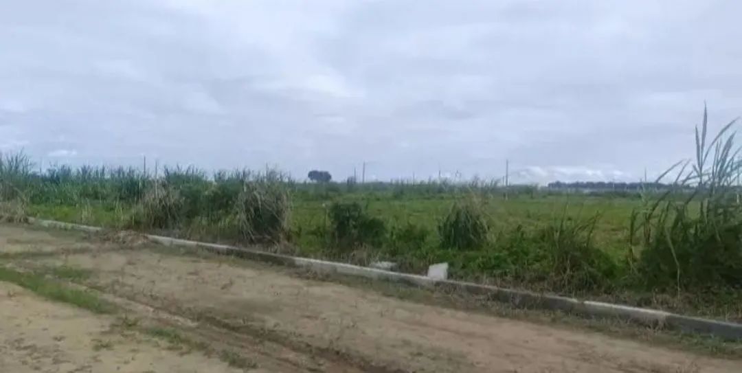 REPASSE- LOTE CHÁCARA- 20x50