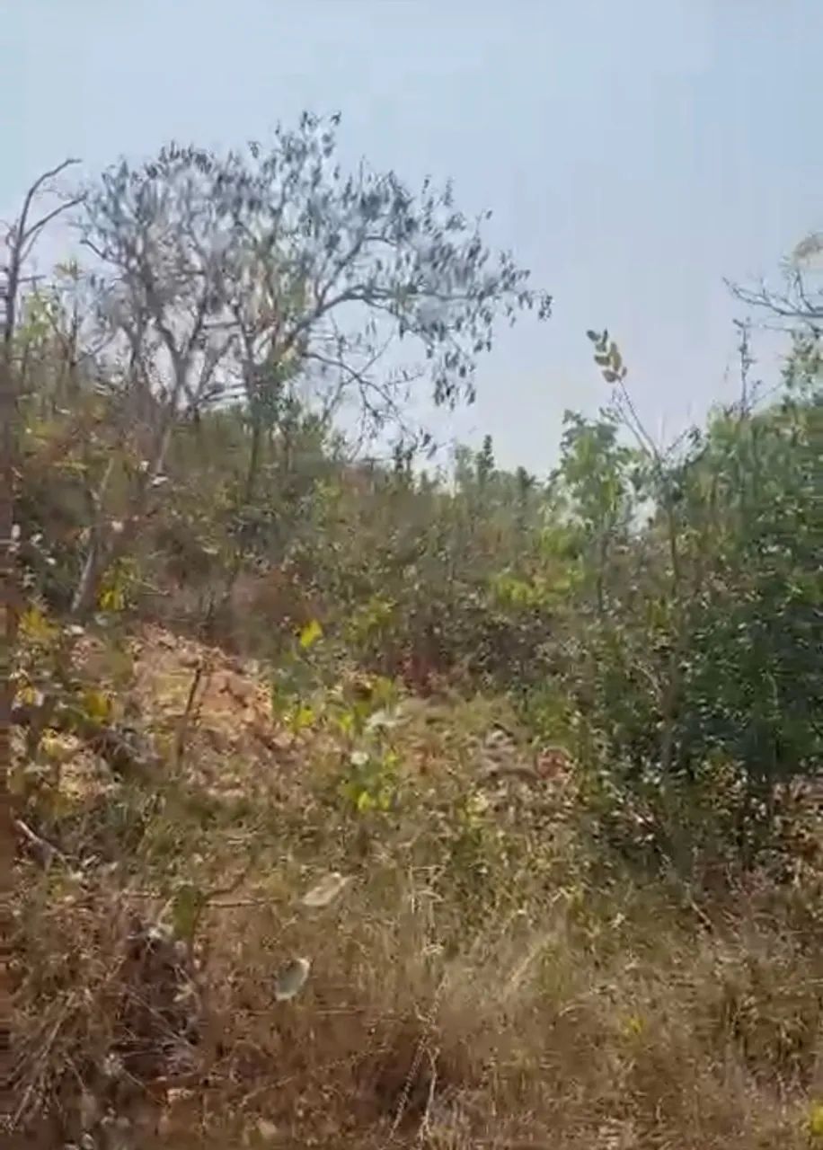 Vendo terreno em baldim  - Foto 3