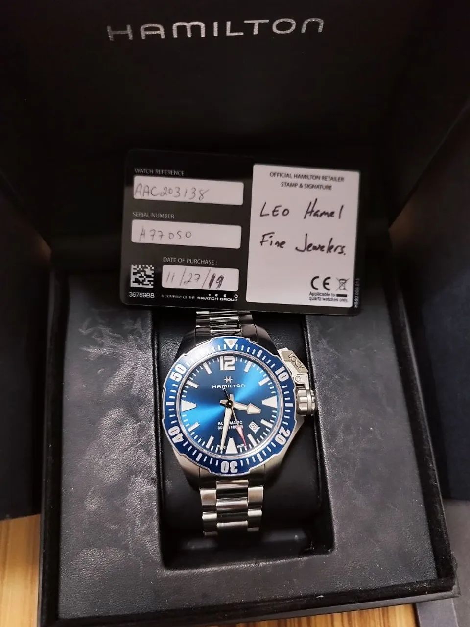Hamilton Frogman  - Foto 3