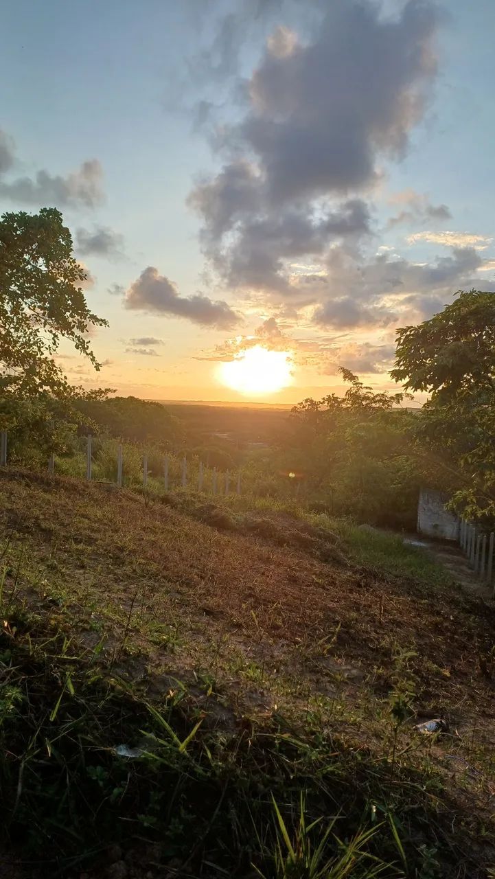 Foto - Goiana - 