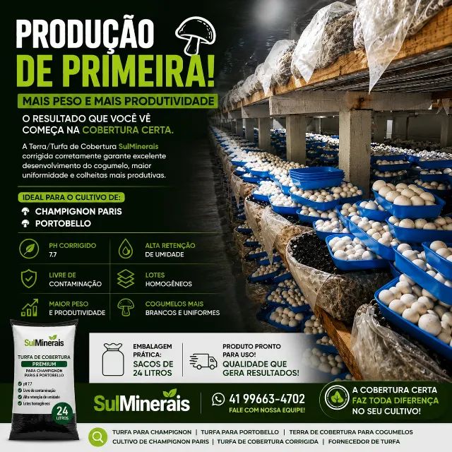 Terra de cobertura Cogumelos Champignon  - Foto 3