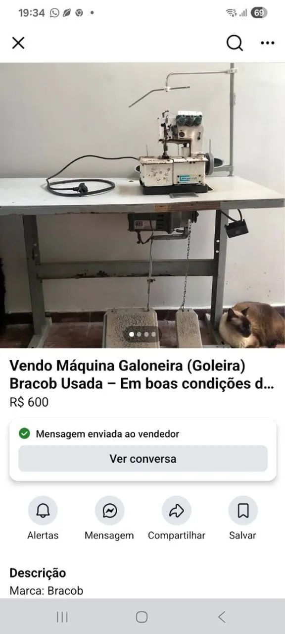 Galoneira  - Foto 4