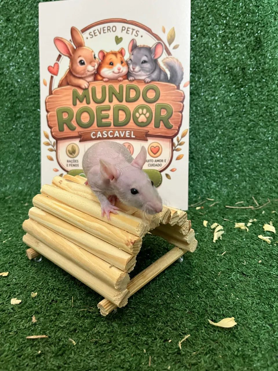 Rato Twister  - Foto 2