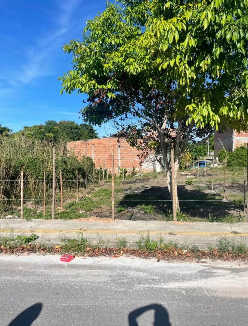 Foto - Camaçari - Parque Florestal