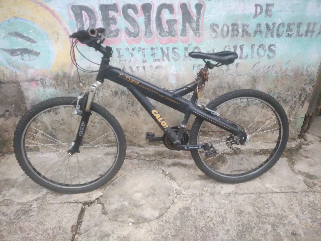 Bicicleta 