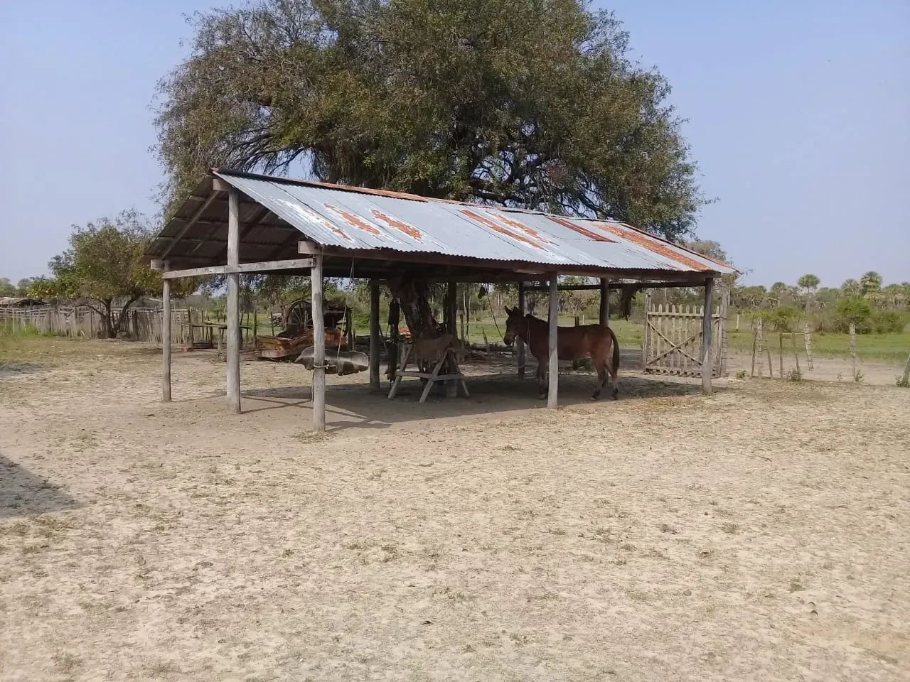 FAZENDA PRÓXIMA À PORTO MURTINHO - MS - Foto 5