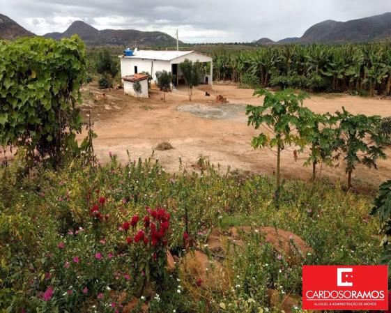 Sítio à venda em Ruy barbosa, Itaberaba cod:FA00004 - Foto 9