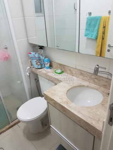 Apartamento para alugar com 3 dormitórios em Ipiranga, Ribeirao preto cod:L12436 - Foto 8